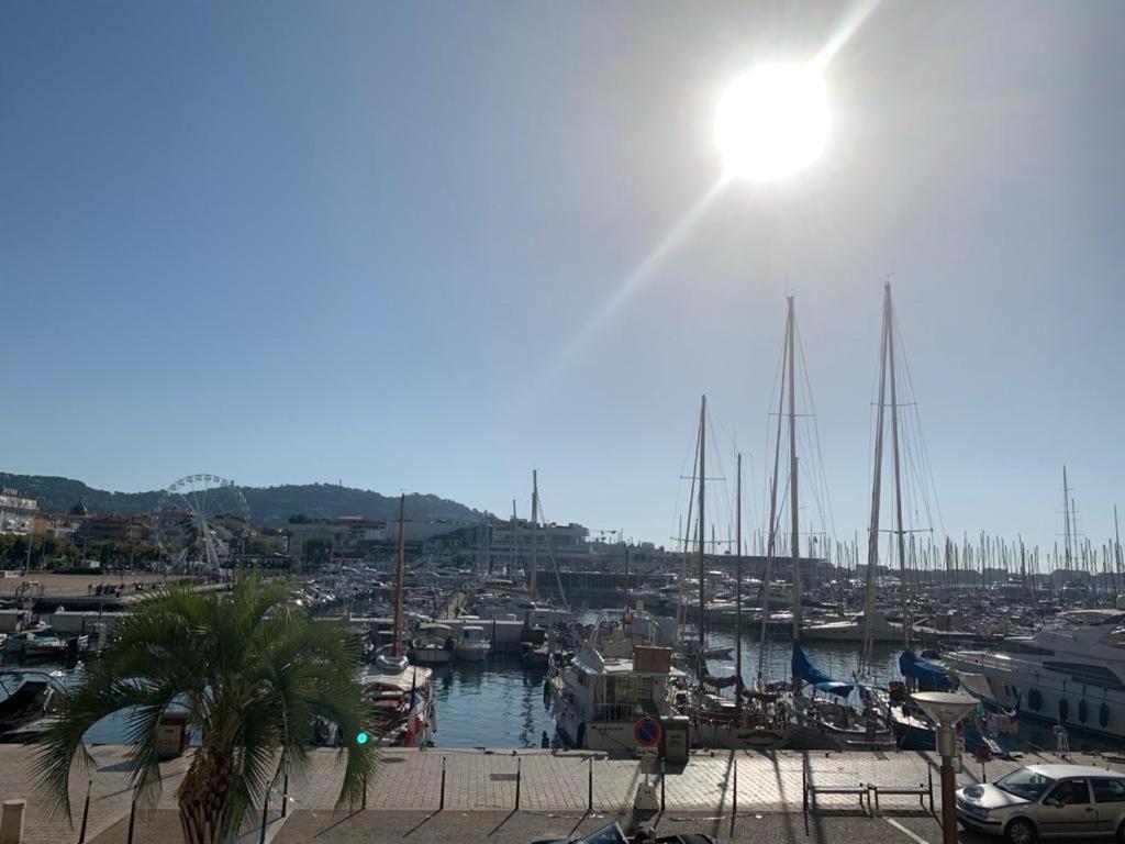 Cannes Old Port, Seafront & Seaview, Yacht Show Port Exteriör bild