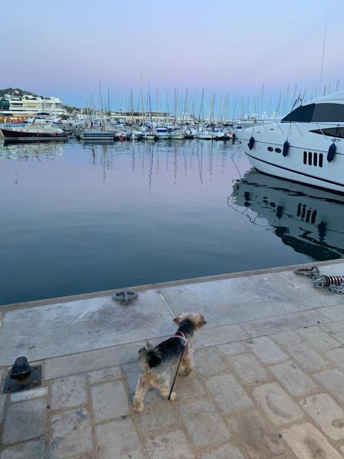 Cannes Old Port, Seafront & Seaview, Yacht Show Port Exteriör bild